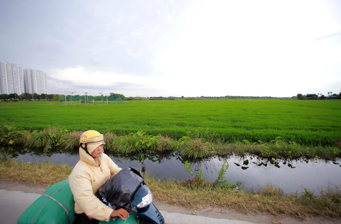 TPHCM - Thành phố Hồ chí Minh quy hoạch đất nông nghiệp chuyển đổi thành đất công nghiệp và dịch vụ quy mô hơn 26000 hectare.