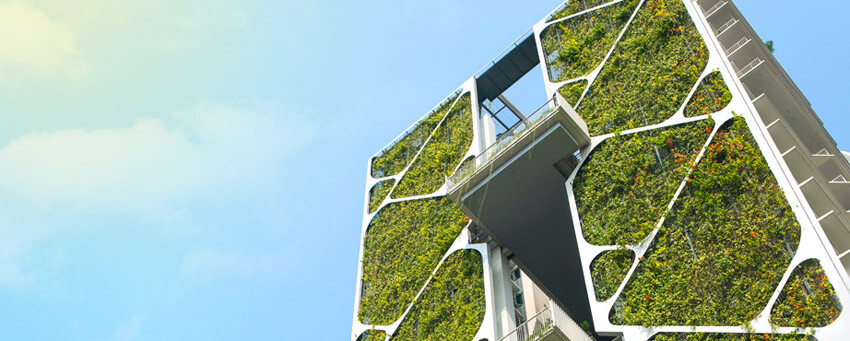 Những bức tường xanh đang trở nên phổ biến tại Singapore, một quốc gia thịnh vượng hàng đầu tại khu vực Châu Á.