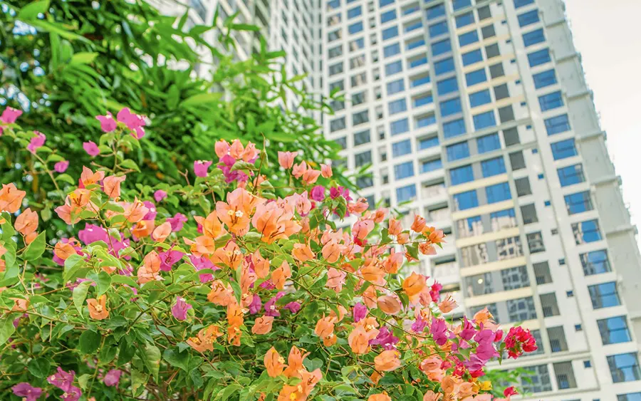 Giữa thành phố náo nhiệt, được sở hữu không gian sống xanh trong lành gần gũi với thiên nhiên tại Masterise là một điều quý giá.
